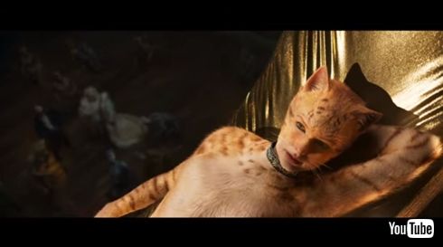 いい感じに艶っぽい 超絶美人猫 テイラー スウィフト 猫になる 映画版 キャッツ で ねとらぼ