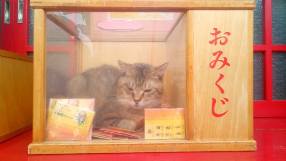『2年保証』 おみくじ台の猫 絵画/タペストリ