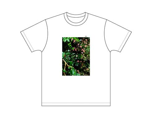キンカン KINKAN SUMMER COLLECTION 2019 蚊 モデル ファッション Tシャツ おしゃれ