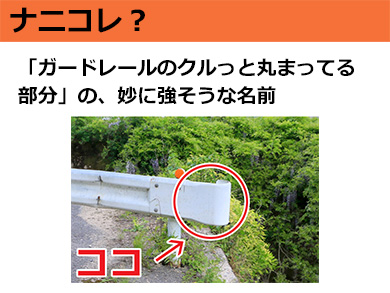 ナニコレ ガードレールのクルっと丸まってる部分 の 妙に強そうな名前 2 10 ページ ねとらぼ