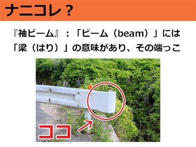 ナニコレ 爪の付け根の白いところ の なんだか神秘的な名前 3 10 ねとらぼ