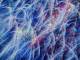 スカイツリー×花火×風による不思議な一枚　強い風吹く隅田川花火大会で撮影された写真が芸術的