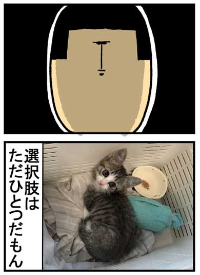 猫 家具 取っ手 かむ あくび フェイント まめきちまめこ ニートの日常 タビ 漫画