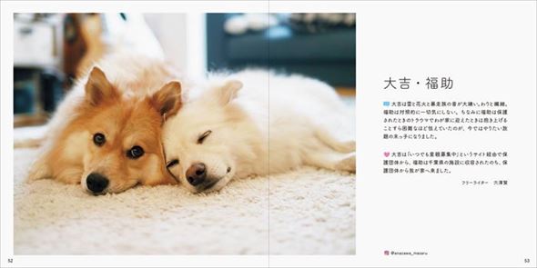 家族にしてくれてありがとう 保護犬や保護猫の写真集 みんなイヌ みんなネコ 発売 ねとらぼ