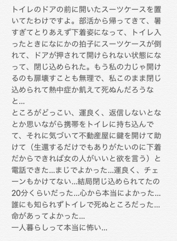 スーツケースが引き起こした“セルフ監禁事件” トイレに閉じ込められた本人が注意喚起 Lkinjowcandsuitcase01 ねとらぼ 9658