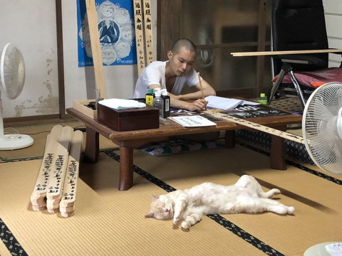 猫の手を 非常に 借りたいときの猫とはこんなもの 猫ちゃんのマイペースっぷりが分かる姿にほっこり ねとらぼ