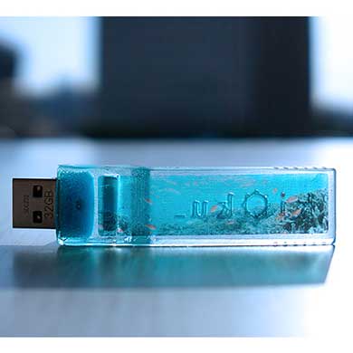 部屋とmidori 半透明 写真 埋め込まれた USB 美しい ヴィレッジヴァンガード