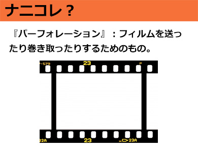 ナニコレ 西部劇で見かける くるくる転がってくる草 のかっこいい名前 10 10 ねとらぼ