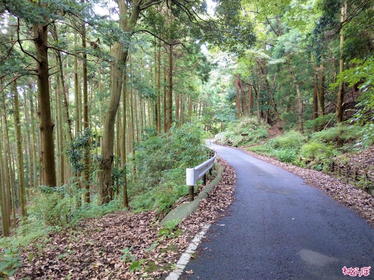 酷道ならぬ「険道」ご存じですか? 地図に載ってない幻の県道「神奈川県道701号」を歩き通してみた (l_syounenb_701_044