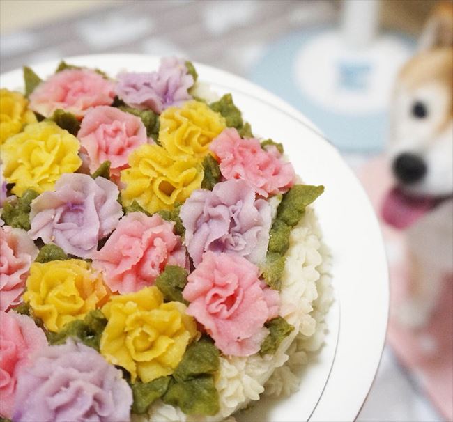 花よりゴハンだワン おいしそうなゴハンをもらったワンちゃんの満足そうなお顔がかわいい ねとらぼ