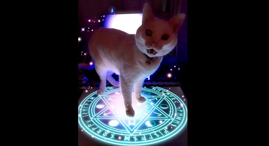 我は魔獣猫チャン 魔法陣から召喚されたように見えるネコちゃんの臨場感がすばらしい ねとらぼ