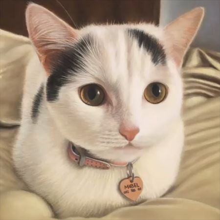 トップ100 子猫 イラスト リアル 最高の動物画像