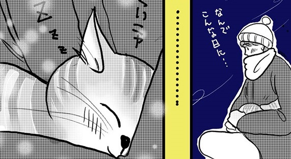 寒い夜 膝の上に避難してきたネコは人の心をあたためる地域ネコ 人とネコの関わりを描いた漫画がすてき ねとらぼ
