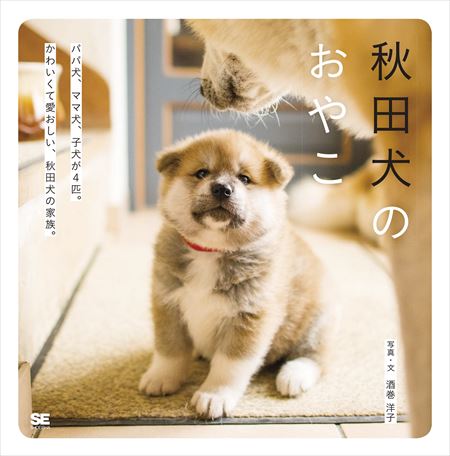 むくむくでもふもふな子犬たちに癒やされる 写真展 秋田犬のおやこ が秋田県で開催 ねとらぼ