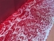室内に「エヴァ」の“真っ赤な海”が出現　プロジェクションマッピングを使った作品が「気持ち悪い」ほどの臨場感