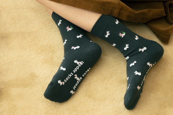 socks appeal