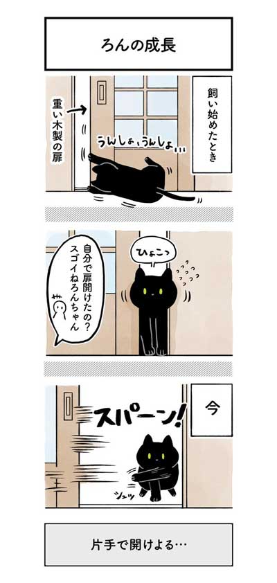 黒猫ってかわいい が詰まってる 元野良だけど人懐っこい黒猫ろん君との日常漫画が単行本に 1 4 ページ ねとらぼ