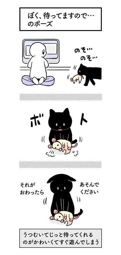 黒猫ってかわいい が詰まってる 元野良だけど人懐っこい黒猫ろん君との日常漫画が単行本に 2 4 ページ ねとらぼ