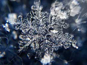 雪が降る前に知っておきたい お手軽に 雪の結晶をスマホで撮影する方法 が驚きの美しさ ねとらぼ