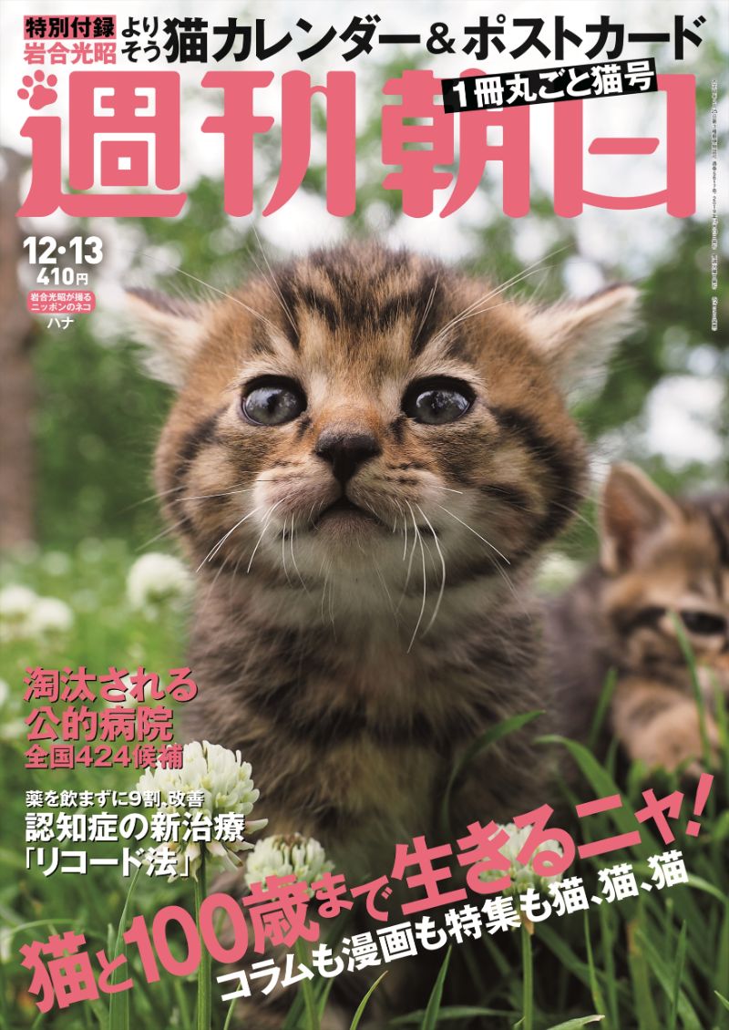 週刊朝日 で丸ごと1冊 猫 特集 人気の第3弾は2大特別付録 猫カレンダー 子猫ポストカード ねとらぼ