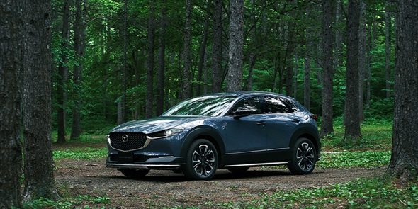 MAZDA CX-30 SIGNATURE STYLEiʐ^F}c_Aȉj