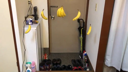 バナナを玄関につるしたらドンキーコングのステージみたいに 回る様子