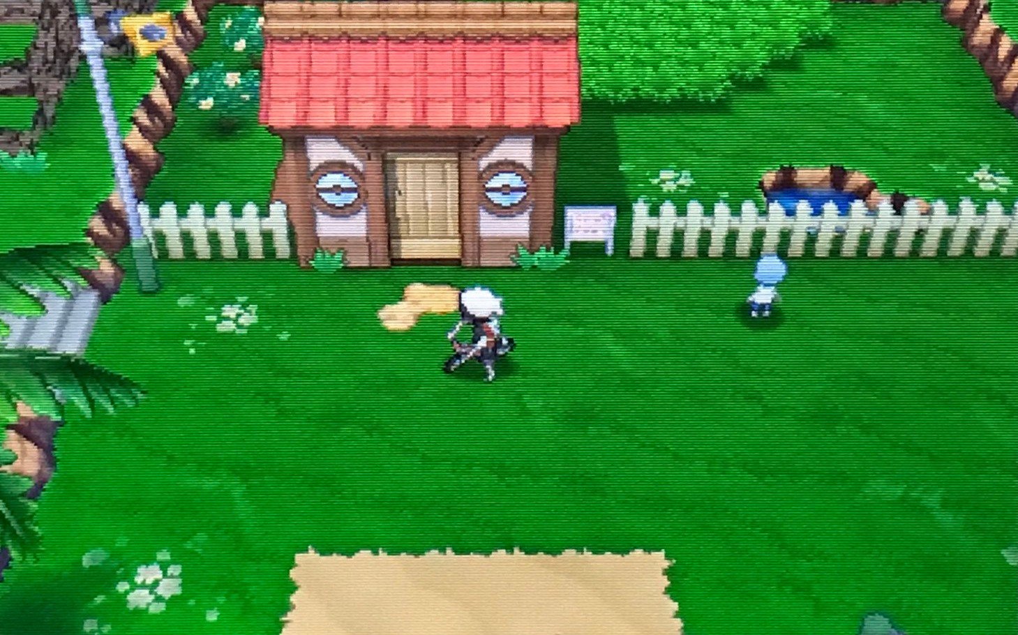 育て屋の前をチャリで往復する時代は終わった ポケモンガチ勢が語る 過酷すぎた過去作の育成 と 新世代のポケモン育成 L Ik Yamakue W590 Jpg ねとらぼ