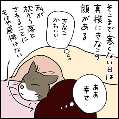 ネコが布団に入ってくると 冬が来た モフモフで温かな ネコ湯たんぽ を描いた漫画に心があたたまる 1 2 ページ ねとらぼ