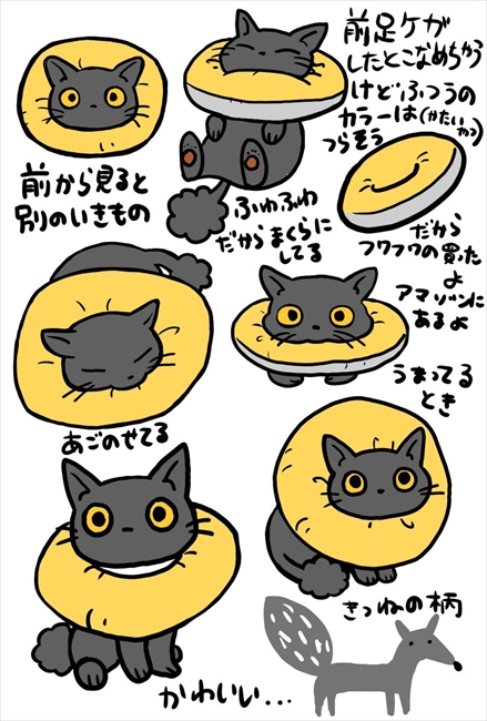 こんなのあるんだ かわいい ふわふわタイプのエリザベスカラーをつけた猫ちゃんがかわいくて快適そう ねとらぼ