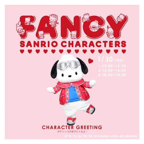 FANCY SANRIO CHARACTERS