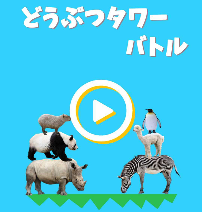 君たちはまだ本当の バトル を知らない 0 03秒が勝敗を左右するdtb どうぶつタワーバトル トッププレイヤーの戦い このeマイナースポーツがスゴい 1 2 ページ ねとらぼ