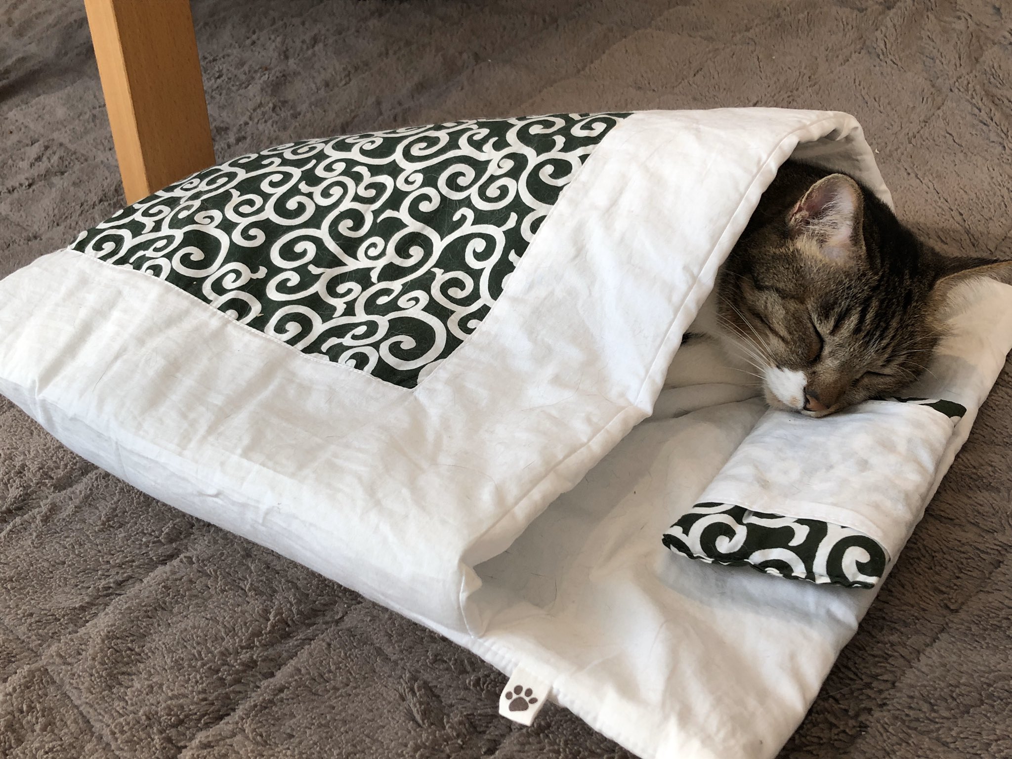 猫 お布団の使い方 完璧にマスターしたニャ 猫用布団に入る姿に 寝姿すごくかわいい 枕の使い方もばっちり ねとらぼ