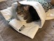 猫「お布団の使い方、完璧にマスターしたニャ！」　猫用布団に入る姿に「寝姿すごくかわいい」「枕の使い方もばっちり」