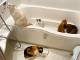 「浴室暖房つけた瞬間、コレ」　1番あたたかい場所を知っているネコたちが集まる浴室がネコ風呂状態