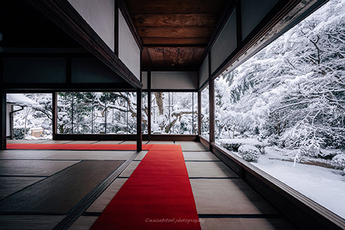 積雪と灯籠が美しい　京都の貴船神社が白銀に包まれた写真に「とても綺麗」の声