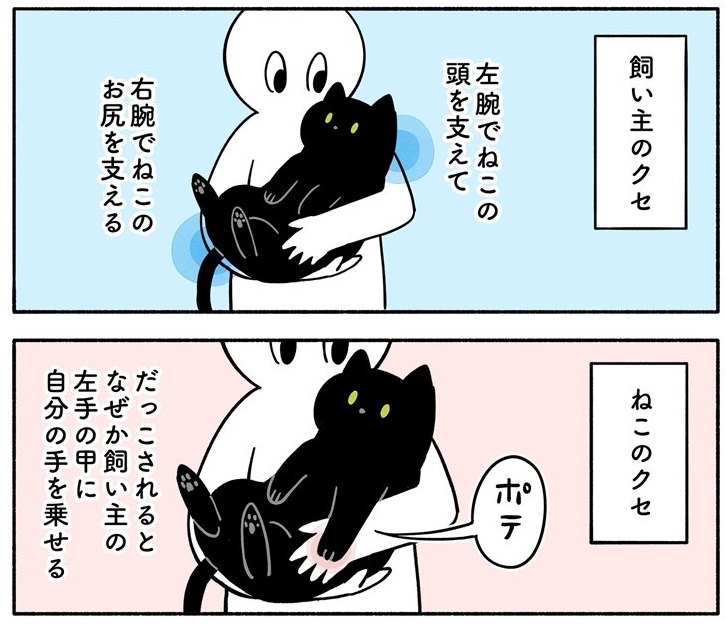 抱っこされた時の黒ねこのクセ を描いた漫画 飼い主への愛を感じるねこのクセがいとおしい 1 2 ページ ねとらぼ