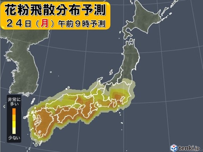 スギ花粉 そろそろ飛散ピーク突入か ねとらぼ