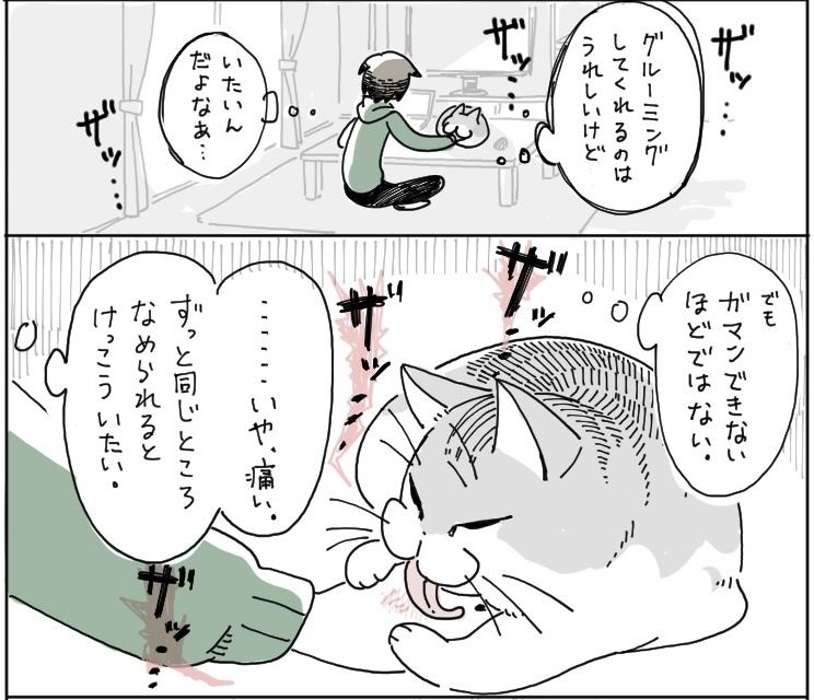 痛いんだよなぁ でもかわいい のループ 猫の愛情表現への葛藤を描いた漫画がかわいくてうらやましい 1 2 ページ ねとらぼ