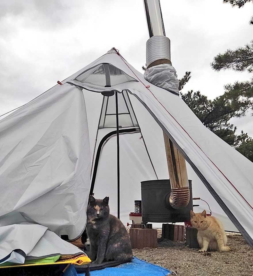 猫連れキャンパーに独占取材 次に挑戦してみたい愛猫とのキャンプ キャンプ アウトドア情報メディアhinata