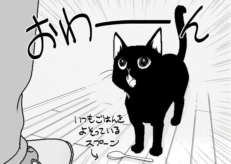 猫がねこをかぶってた 元保護猫の黒猫クウを描いたマンガがワンパクでかわいい 1 2 ページ ねとらぼ