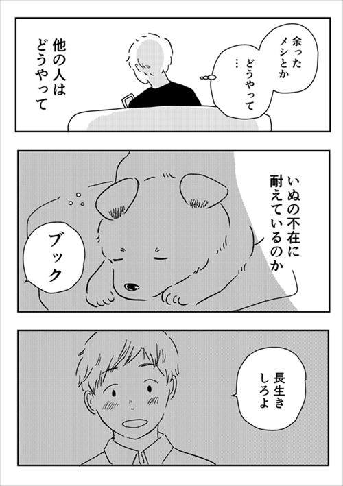 いぬがいぬ