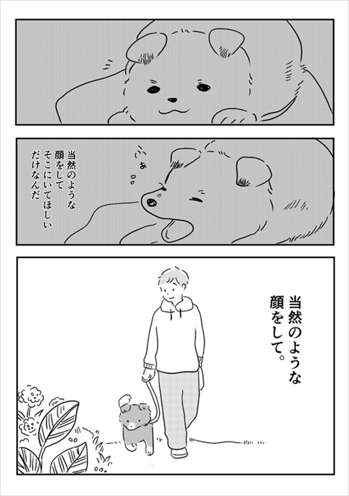 いぬがいぬ