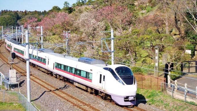 水戸駅 偕楽園弁当 1250円 偕楽園の梅の花を愛でていただく水戸の幕の内駅弁 ねとらぼ