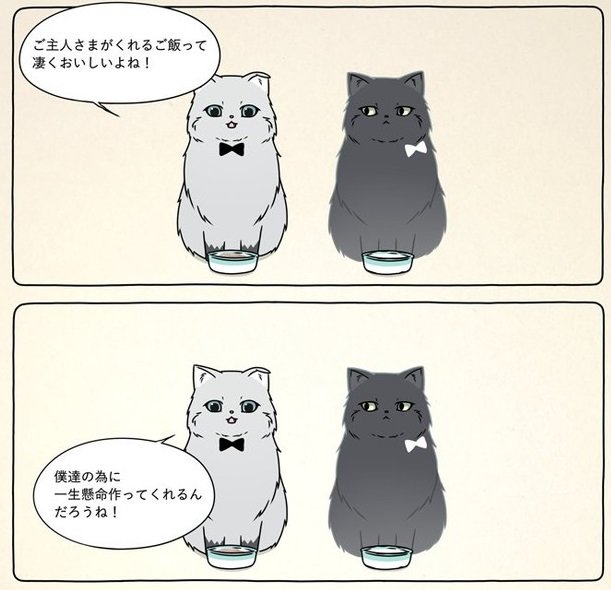 飼い主を取りあうライバル猫 だと思ったら 黒猫の正体にほろりとくる猫漫画がかわいくて切ない 1 2 ページ ねとらぼ