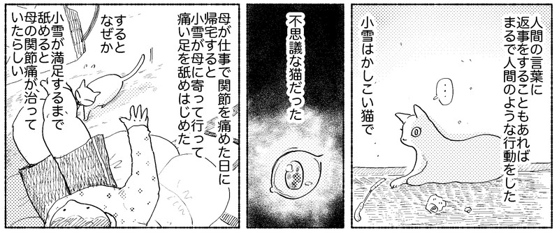 オッドアイの白猫がなめるとケガが治る 優しくてミステリアスな白猫さんの漫画が不思議な魅力 1 2 ページ ねとらぼ