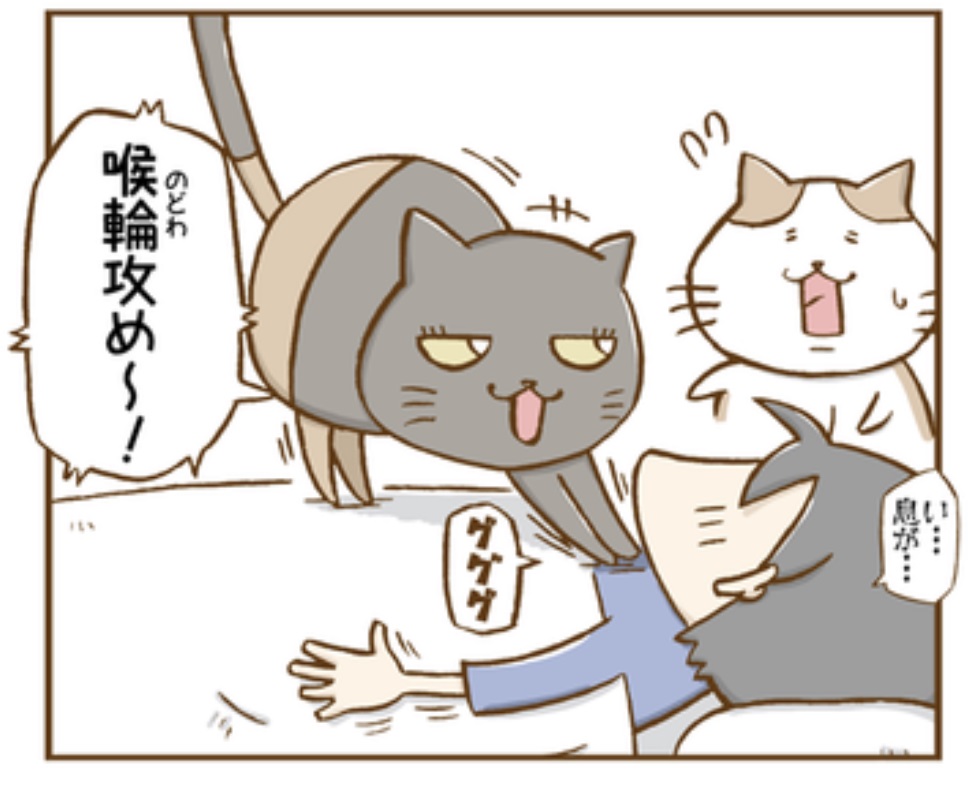 ご飯がほしい猫がとった行動とは 朝寝坊した飼い主さんのレポ漫画がびっくりするけど癒やされる 1 2 ページ ねとらぼ