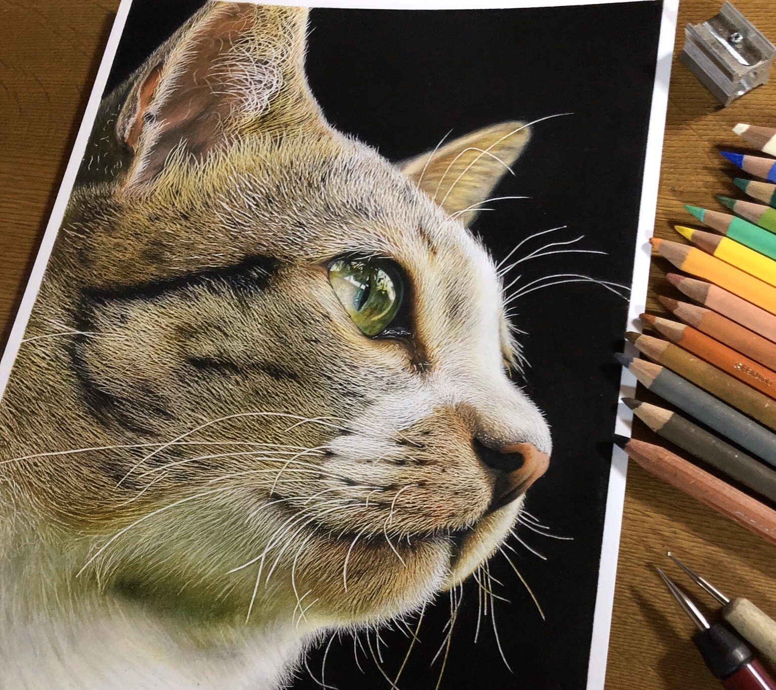 色鉛筆で描かれた猫 が驚くリアルさ 目が本当にきれい 見れば見るほど細かい の声 ねとらぼ