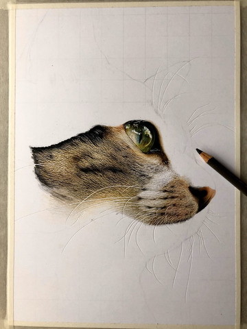 色鉛筆で描かれた猫 が驚くリアルさ 目が本当にきれい 見れば見るほど細かい の声 ねとらぼ