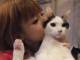 中川翔子、19歳の愛猫・ちび太が天国へ　「聖火ランナーの姿見せたかった」「来年、天国から見ててほしい」