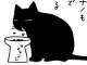 エサにこだわるうちの猫　“匂い”と“音”を工夫すると……　愛猫の食を考える飼い主の漫画が愛情たっぷり